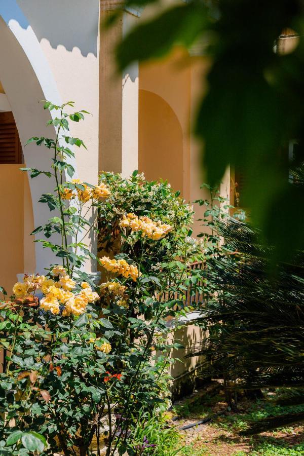 Ilena Hotel Acharavi  Dış mekan fotoğraf