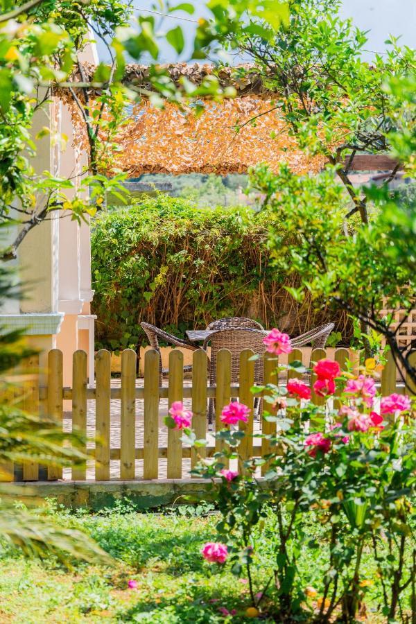 Ilena Hotel Acharavi  Dış mekan fotoğraf