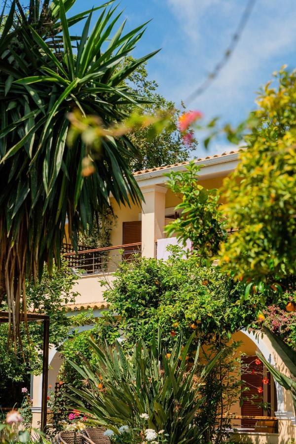 Ilena Hotel Acharavi  Dış mekan fotoğraf